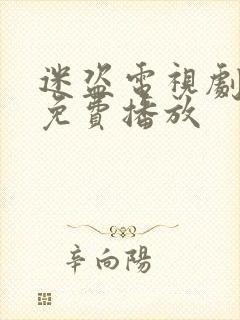 迷盗电视剧全集免费播放