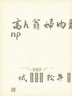 高h翁妇肉乱文np封面