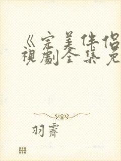 《完美伴侣》电视剧全集免费观看