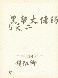 黑帮大佬的365天二封面