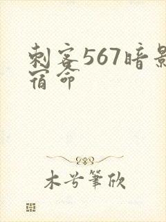 刺客567暗影宿命