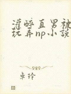 灌醉直男被下药玩弄np小说