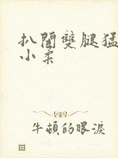 扒开双腿猛进入小柔