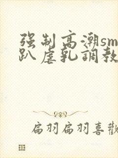 强制高潮sm跪趴虐乳调教