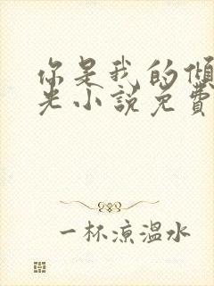 你是我的倾城时光小说免费阅读全文