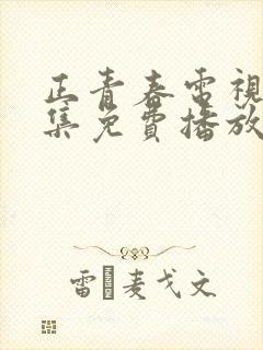 正青春电视剧全集免费播放高清版