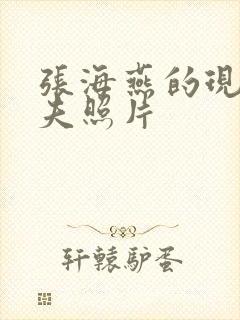 张海燕的现任丈夫照片