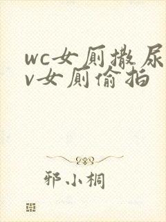 wc女厕撒尿tv女厕偷拍