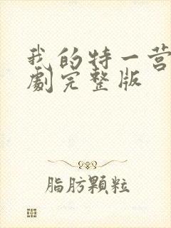 我的特一营电视剧完整版