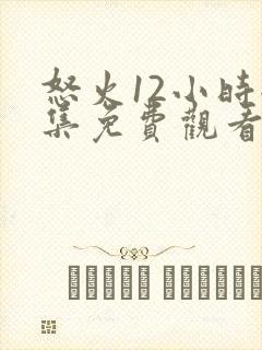 怒火12小时全集免费观看完整版高清封面