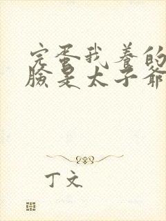 完蛋我养的小白脸是太子爷