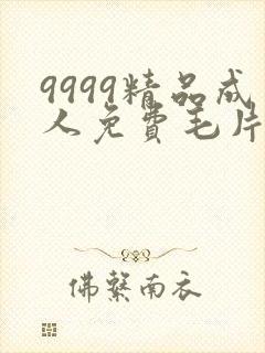 9999精品成人免费毛片在线看