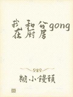 我和公gong在厨房