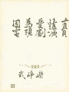 因为爱情有多美电视剧演员表