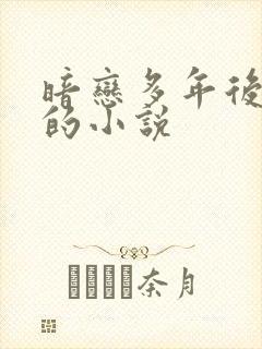 暗恋多年后重逢的小说封面