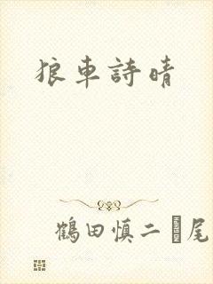 狼车诗晴封面
