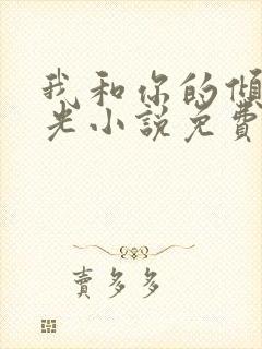 我和你的倾城时光小说免费阅读封面