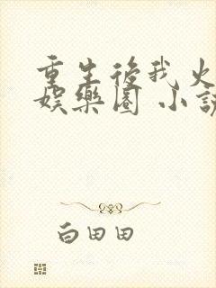 重生后我火遍了娱乐圈 小说