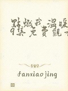 点燃我温暖你29集免费观看