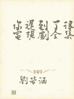 你迟到了很多年电视剧全集免费观看封面