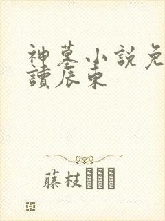 神墓小说免费阅读辰东