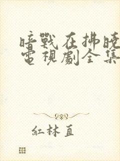 暗战在拂晓之前电视剧全集剧情介绍