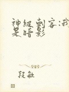 神级刺客:我即是暗影