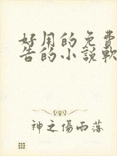 好用的免费无广告的小说软件