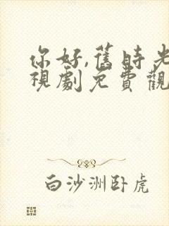 你好,旧时光电视剧免费观看封面