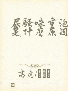 尿骚味重泡沫多是什么原因