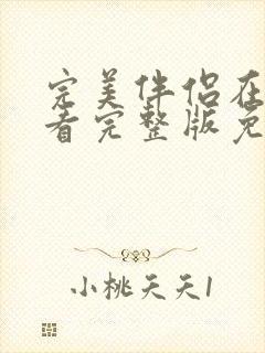 完美伴侣在线观看完整版免费封面