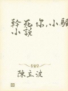 干死你,小骚货小说