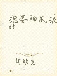 混蛋神风流史txt封面