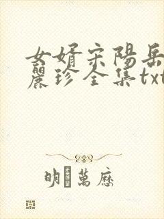 女婿宋阳岳母陈丽珍全集txt