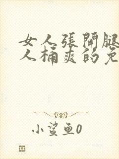 女人张开腿让男人桶爽的免费视频