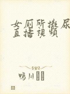 女厕所撒尿偷拍直播视频