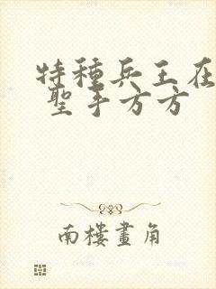 特种兵王在山村 圣手方方