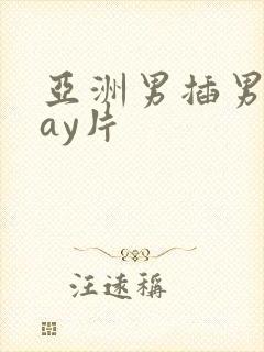 亚洲男插男同gay片