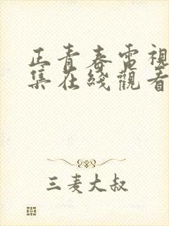 正青春电视剧全集在线观看免费