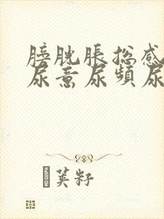 膀胱胀总感觉有尿意尿频尿量少