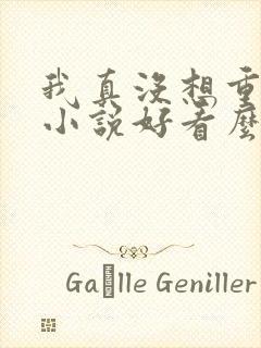 我真没想重生啊小说好看么封面