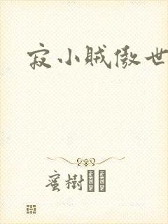 寂小贼傲世丹神