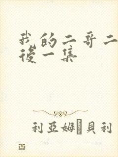 我的二哥二嫂最后一集