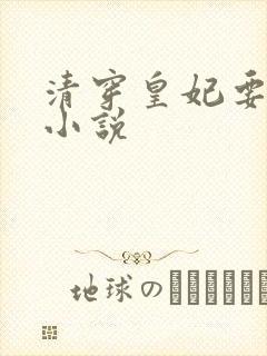 清穿皇妃要娇养小说