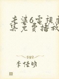 老婆6电视剧全集免费播放西瓜
