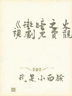《微暗之火》电视剧免费观看