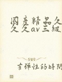 国产精品久久久久久av三级