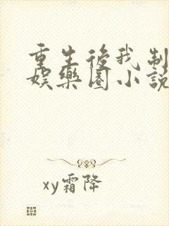 重生后我制霸了娱乐圈小说封面