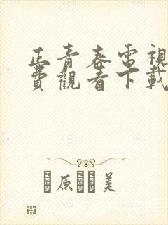 正青春电视剧免费观看下载封面