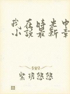 我在时光中爱你小说最新章节阅读全文封面